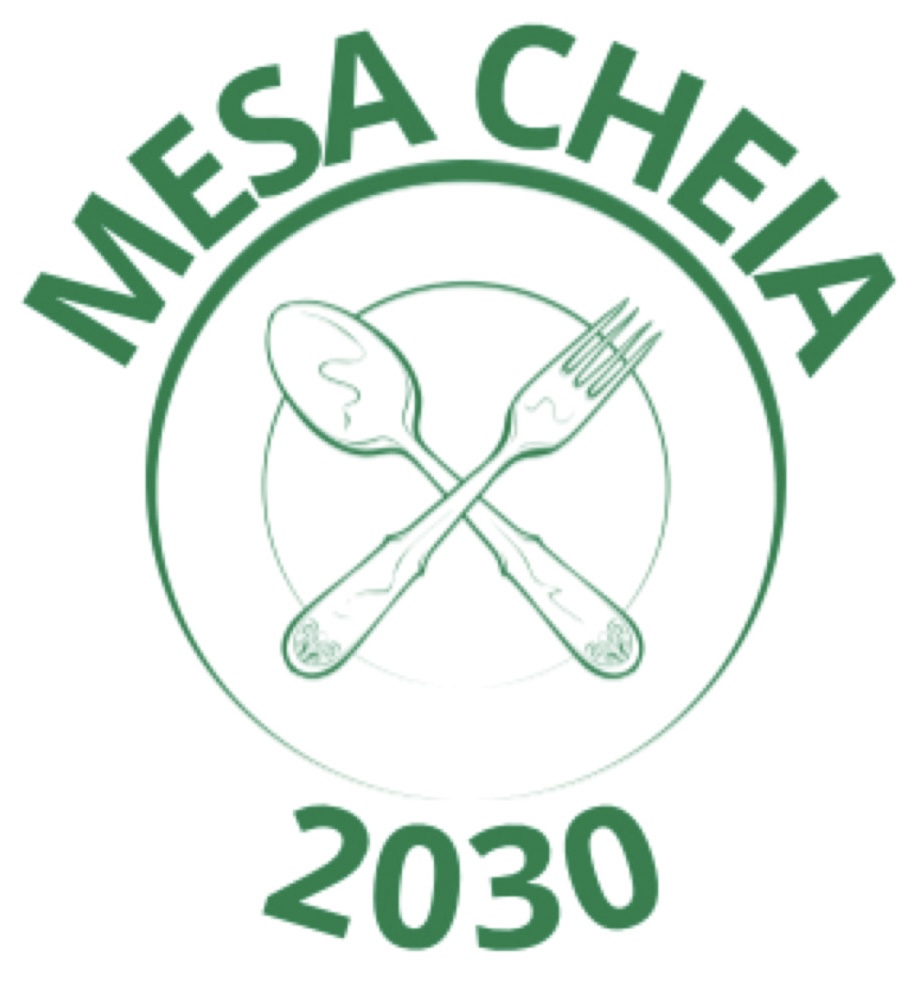 logo mesa cheia 2030